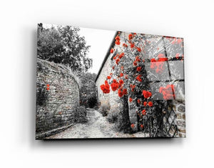 Red Rose on the Wall Glass Wall Art