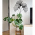 Metal Wall Art Metal Flower Decor Geometric Art Ginkgo